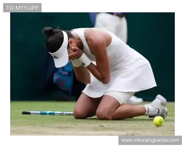 对话黄娜：回顾她的网球生涯与未来展望的精彩对话