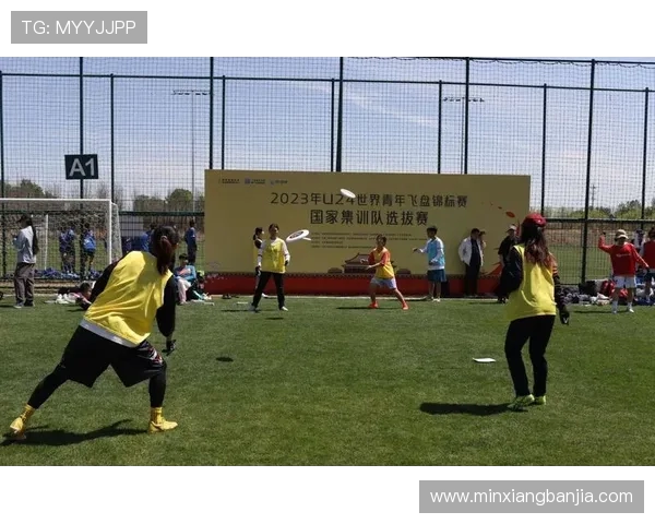 广州飞盘队战术变革引发热议新策略助力球队提升竞技水平