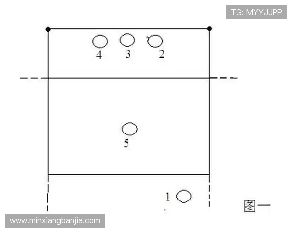 成都排球队整体压制战术解析与实战应用探讨