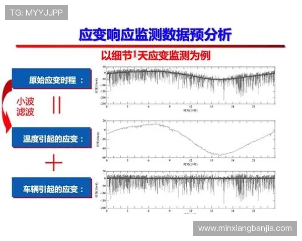 成都篮球队实力分析与赛季表现评估的全面数据解读