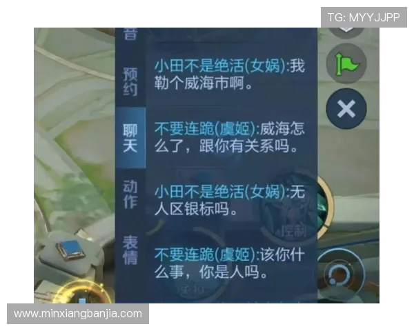 权威发布王者荣耀节奏实力榜单全面解析与深度解读 权威发布王者荣耀节奏实力榜单全面解析与深度解读