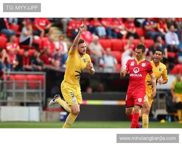 惠灵顿凤凰对阵墨尔本城精彩直播全程回顾与赛后分析