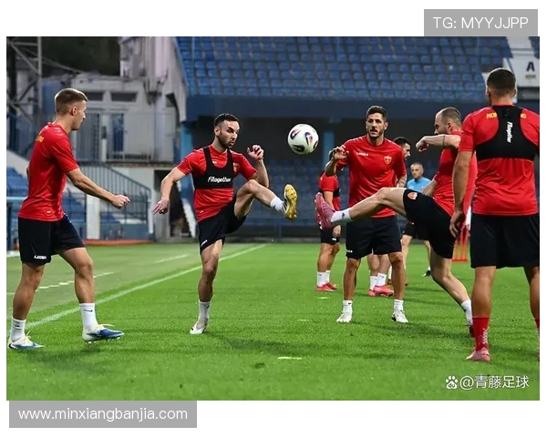 瑞典与丹麦全场比赛精彩回顾及赛后分析 瑞典与丹麦全场比赛精彩回顾及赛后分析