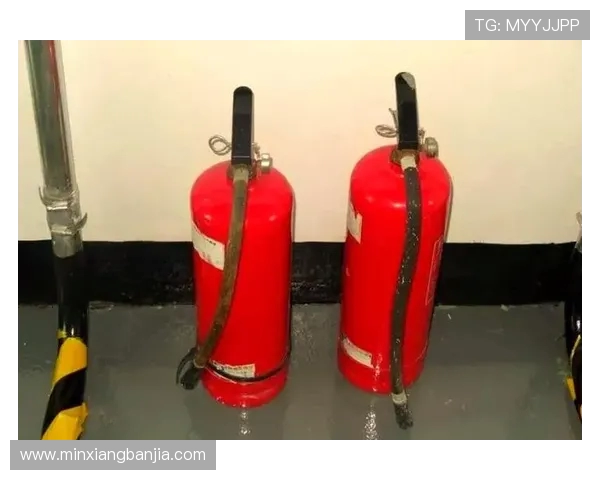 张芳独家分享网球心得与技巧助你提升球技的全面指南