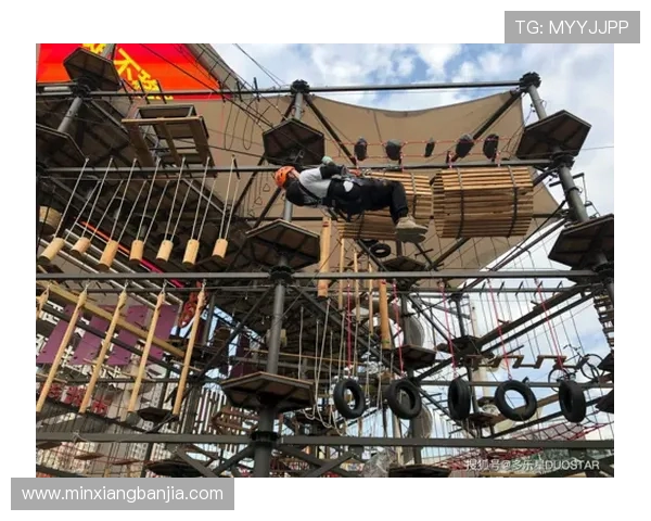 极限运动领域权威发布个人能力实力榜单全景解析与深度解读